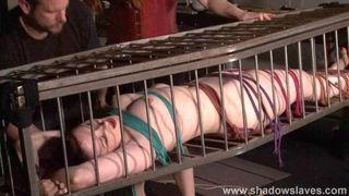 mistress handjob blowjob and ballbusting