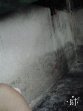 anilrai.yahoo.com